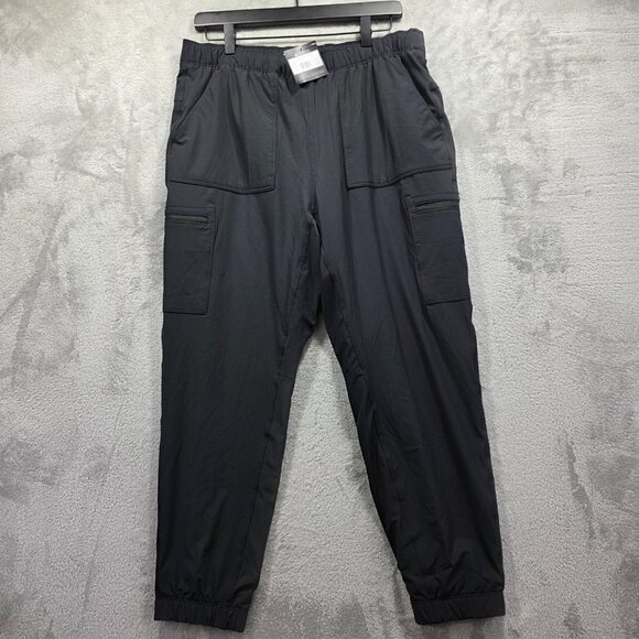 Eddie Bauer Pants Womens Petite 10 Flexion Fleece Lined 2.0 Pull-On Jogger 4708 - Picture 1 of 10